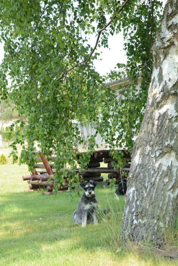 Zakatek W Zaciszu Villa Ustka Buitenkant foto